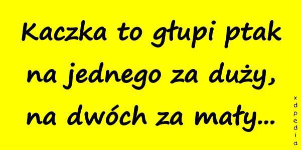 Kaczka to głupi ptak na jednego za duży, na dwóch za mały