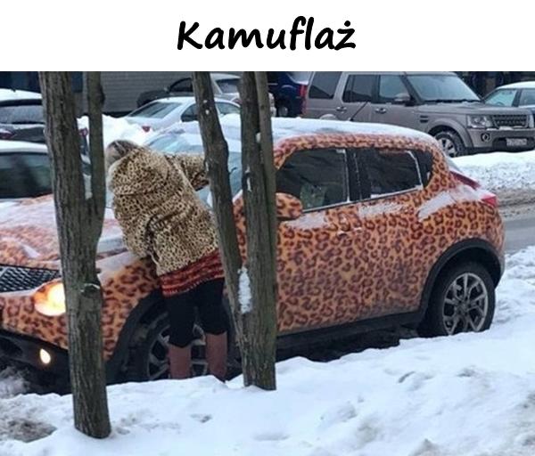 Kamuflaż