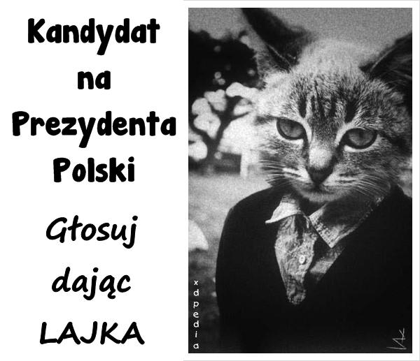 Kandydat na Prezydenta Polski. Głosuj dając LAJKA