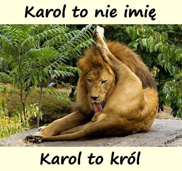 Karol to nie imię, Karol to król