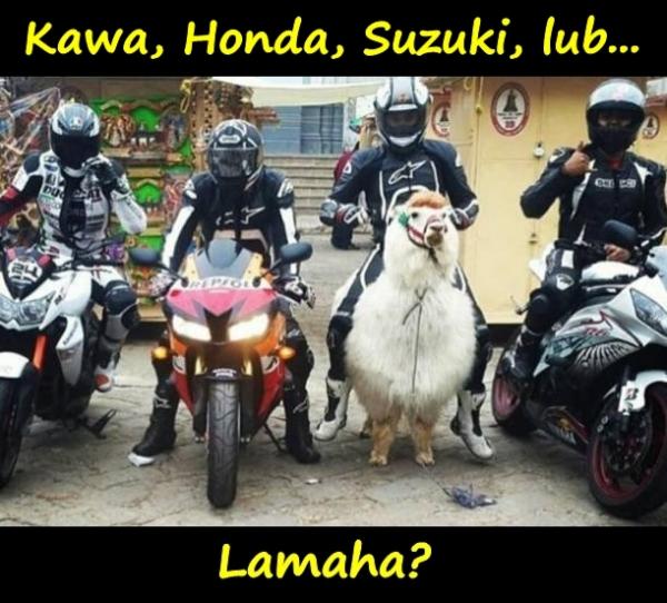 Kawa, Honda, Suzuki, lub... Lamaha