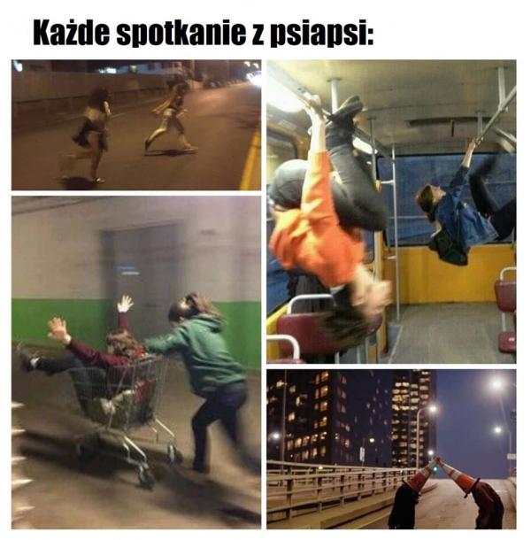 Każde spotkanie z psiapsi