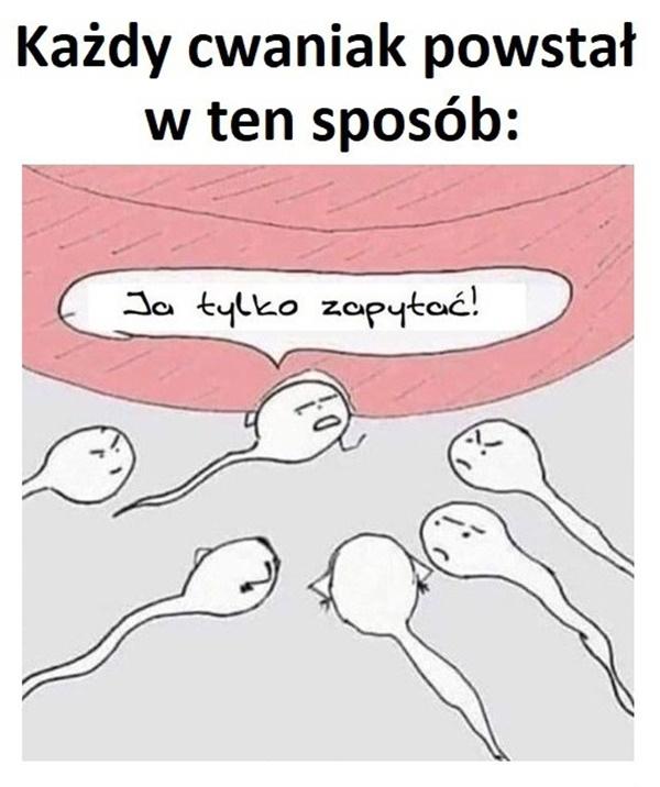 Każdy cwaniak powstał w ten sposób