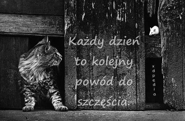 Każdy dzień to kolejny powód do szczęścia