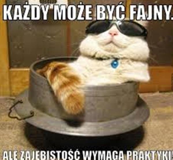 Każdy może być fajny ale zajebistośc wymaka pragdyki