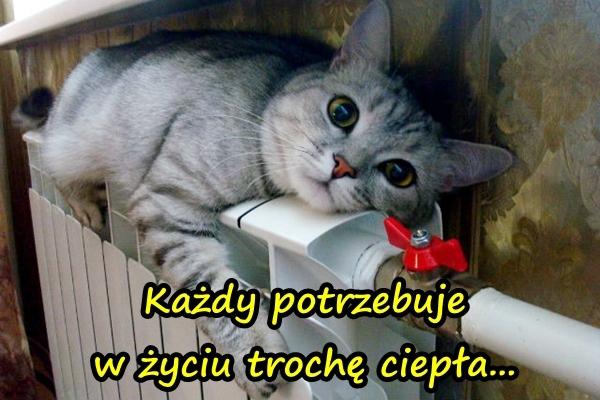 Każdy potrzebuje w życiu trochę ciepła