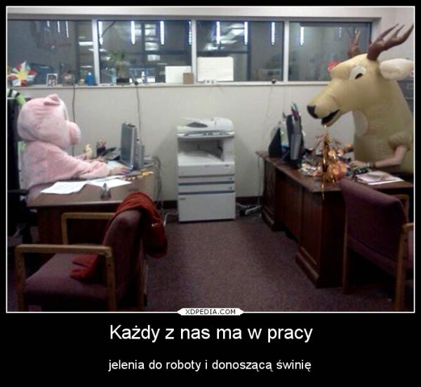 Każdy z nas ma w pracy jelenia do roboty i donoszącą świnię