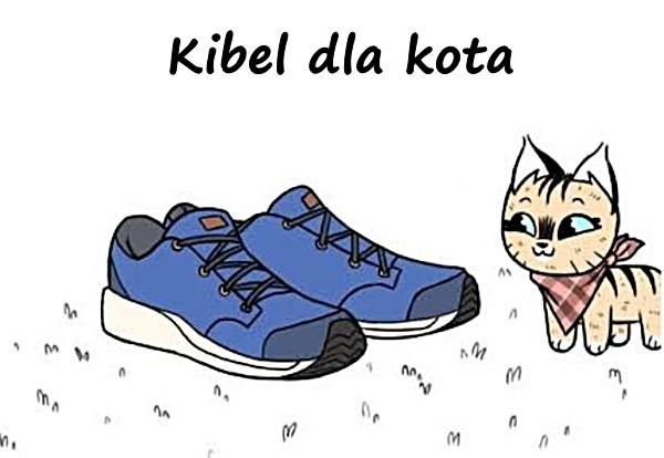 Kibel dla kota