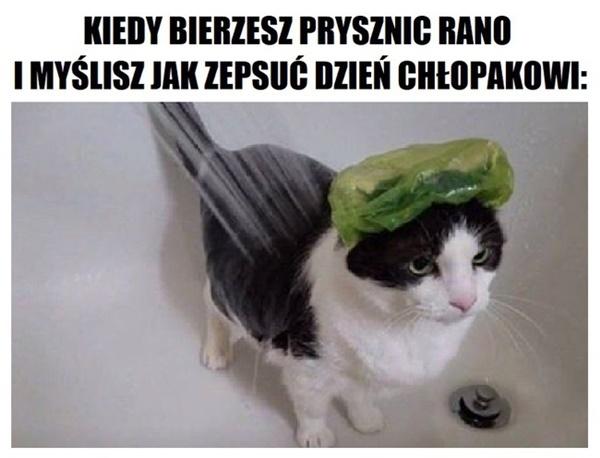 Kiedy bierzesz prysznic rano i myślisz jak zepsuć dzień