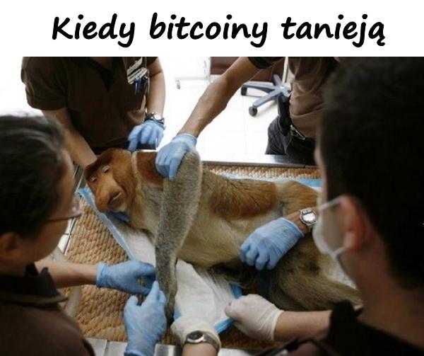 Kiedy bitcoiny tanieją