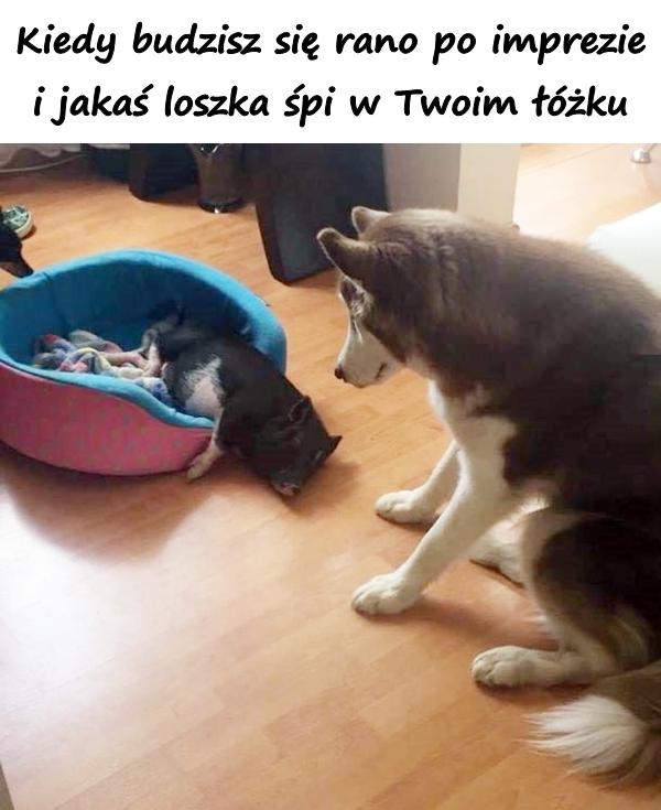 Kiedy budzisz się rano po imprezie i jakaś loszka śpi w