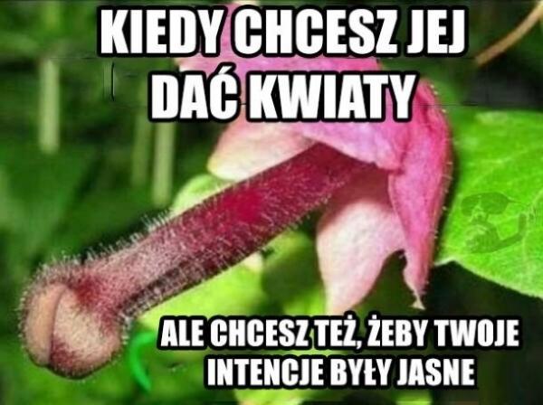 Kiedy chcesz jej dać kwiaty, ale chcesz też żeby twoje