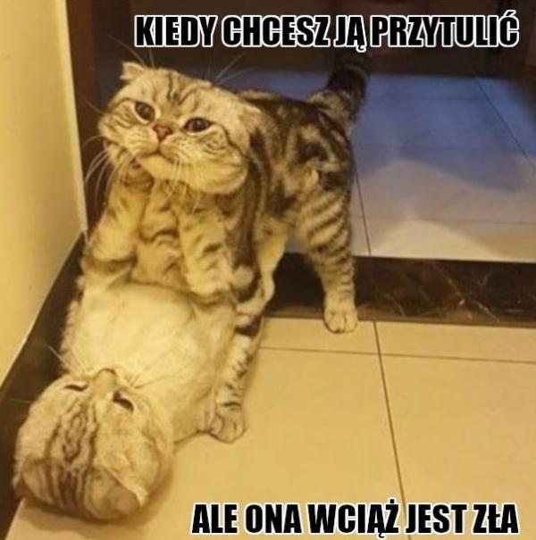 Kiedy chcesz ją przytulić, ale wciąż jest zła