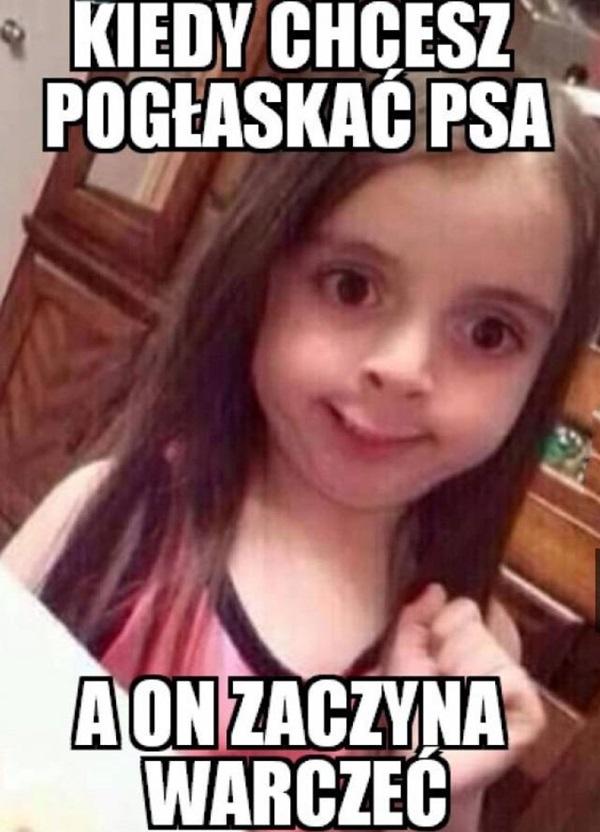 Kiedy chcesz pogłaskac psa, a on zaczyna warczeć