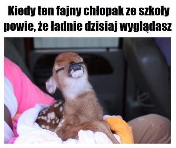 Kiedy chłopak ze szkoły powie, że ładnie dzisiaj wyglądasz