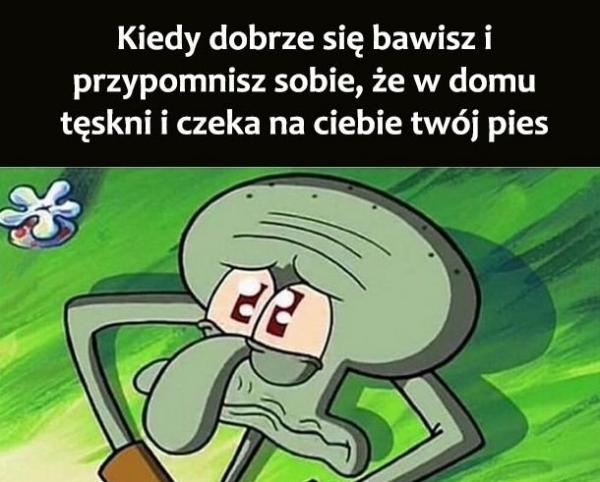 Kiedy dobrze się bawisz i przypomnisz sobie, że w domu