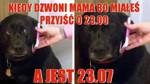 Kiedy dzwoni mama bo miałeś przyjść o