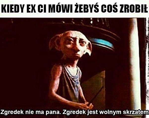 Kiedy Ex Ci mówi, żebyś co zrobił. Zgredek nie ma pana