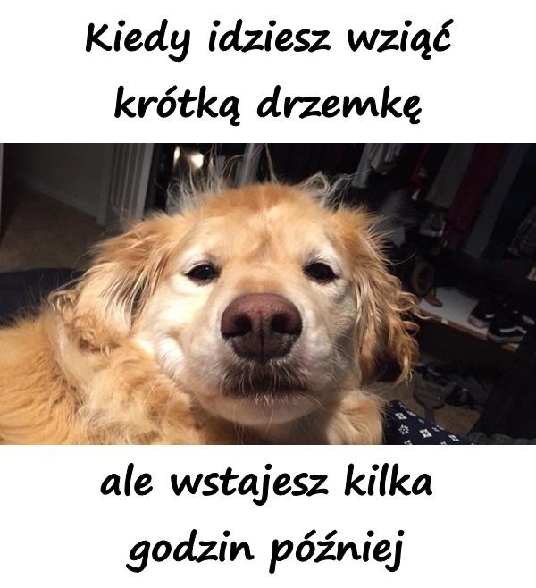 Kiedy idziesz wziąć krótką drzemkę, ale wstajesz kilka