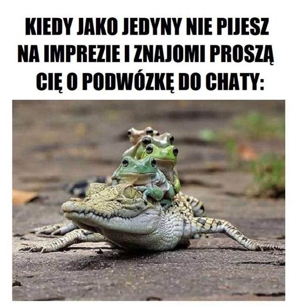 Kiedy jako jedyny nie pijesz na imprezie i znajomi proszą