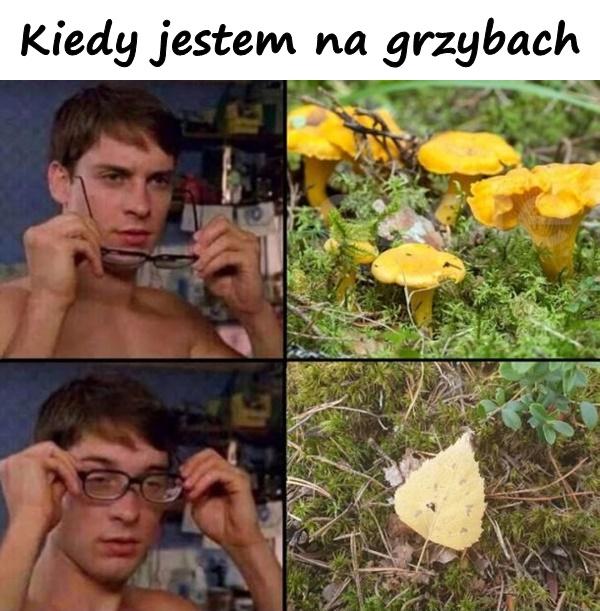 Kiedy jestem na grzybach