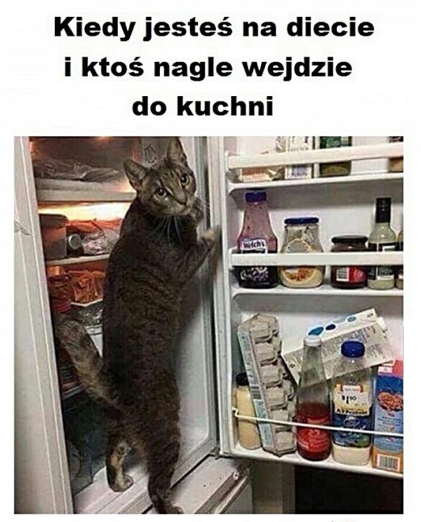 Kiedy jesteś na diecie i ktoś nagle wejdzie do kuchni