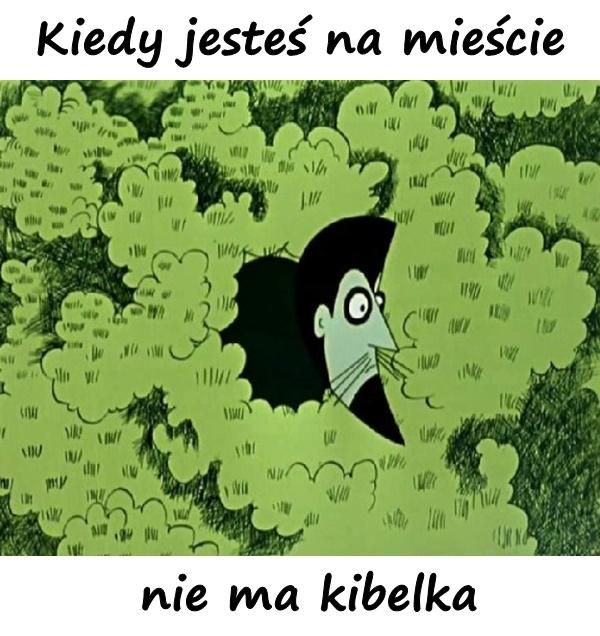 Kiedy jesteś na mieście i nie ma kibelka