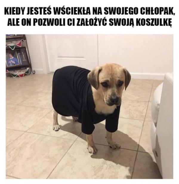 Kiedy jesteś wściekła na swojego chłopaka, ale on pozwoli