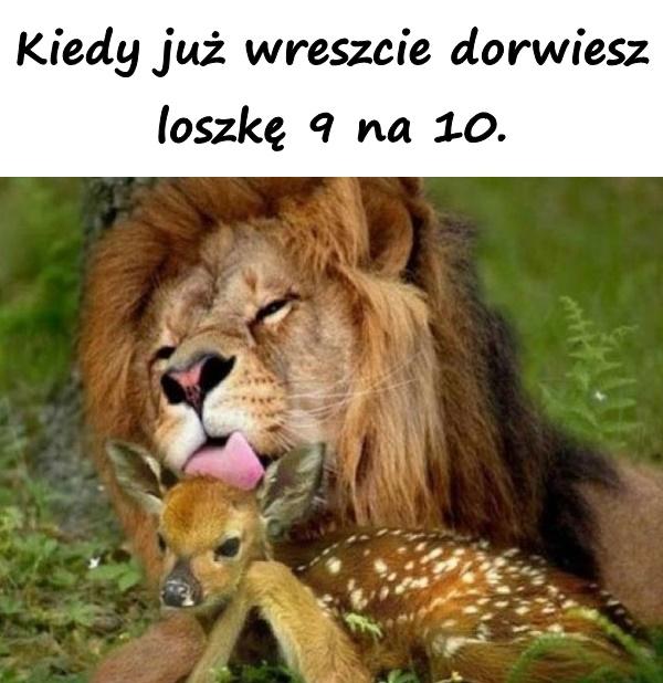 Kiedy już wreszcie dorwiesz loszkę 9 na