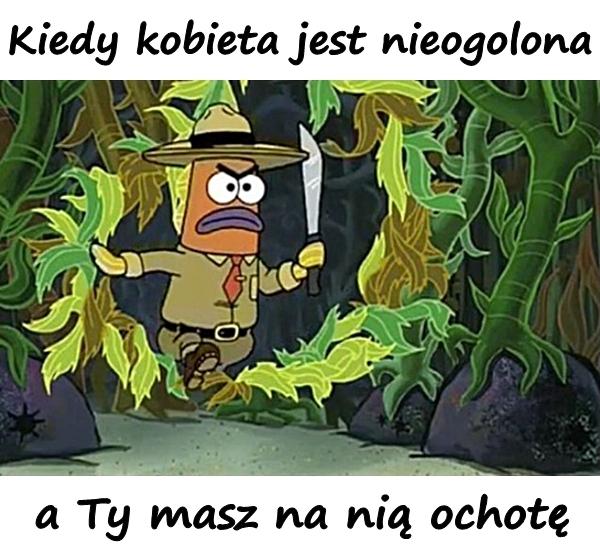 Kiedy kobieta jest nieogolona, a Ty masz na nią ochotę