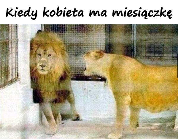 Kiedy kobieta ma miesiączkę