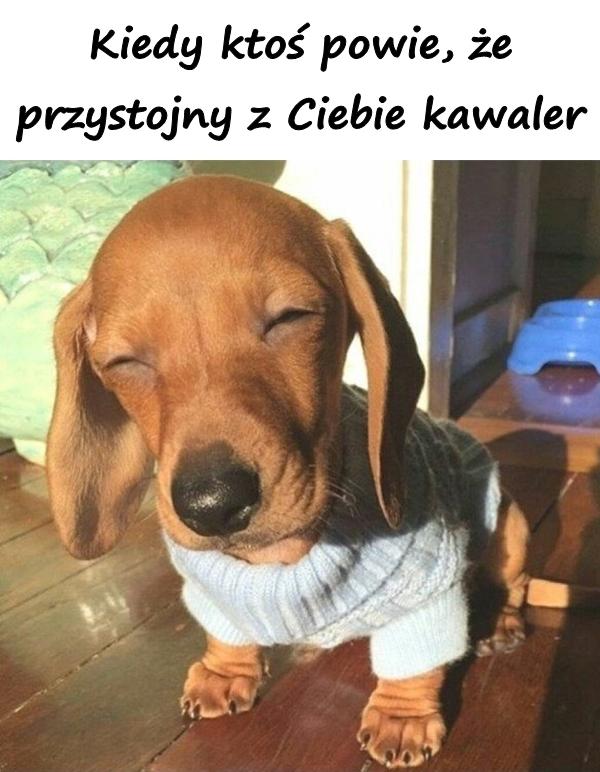 Kiedy ktoś powie, że przystojny z Ciebie kawaler