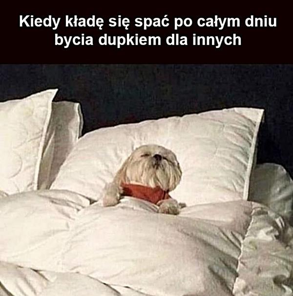 Kiedy kładę się spać po całym dniu bycia dupkiem dla innych