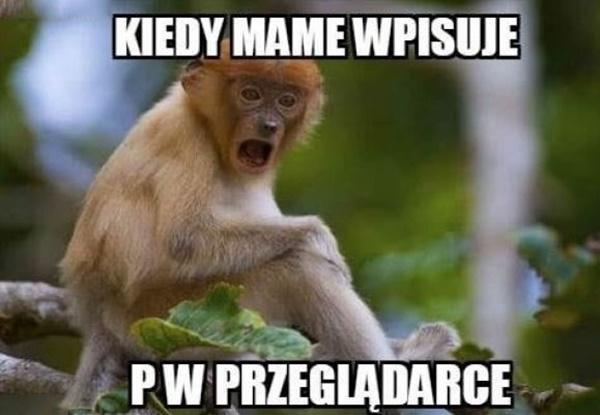 Kiedy mame w pisuje p w przeglądarce