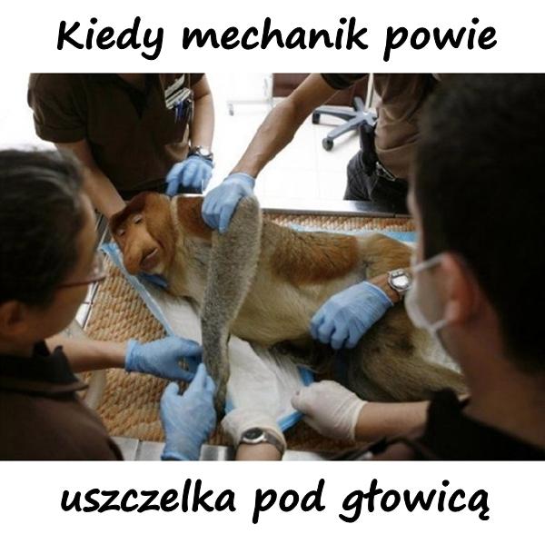 Kiedy mechanik powie uszczelka pod głowicą