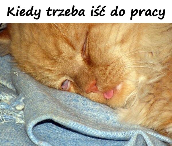 Kiedy musisz iść do pracy