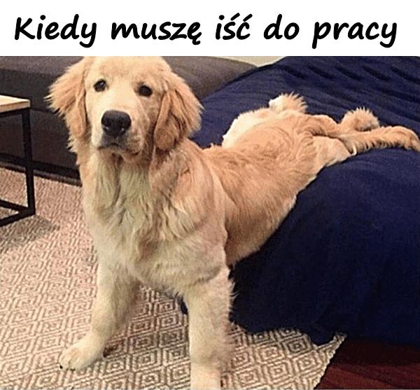 Kiedy muszę iść do pracy