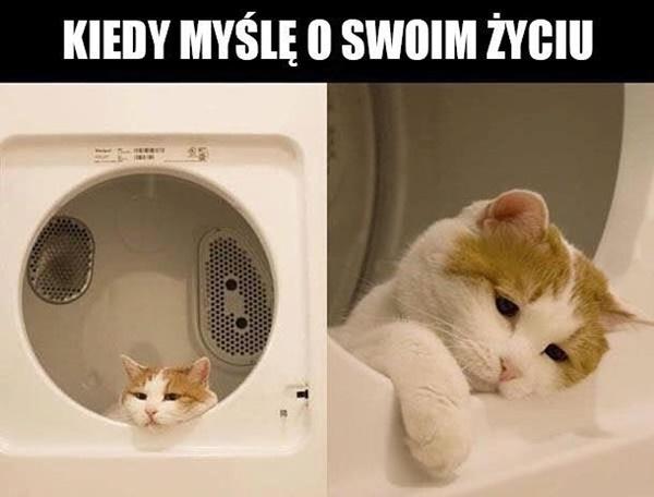 Kiedy myślę o swoim życiu