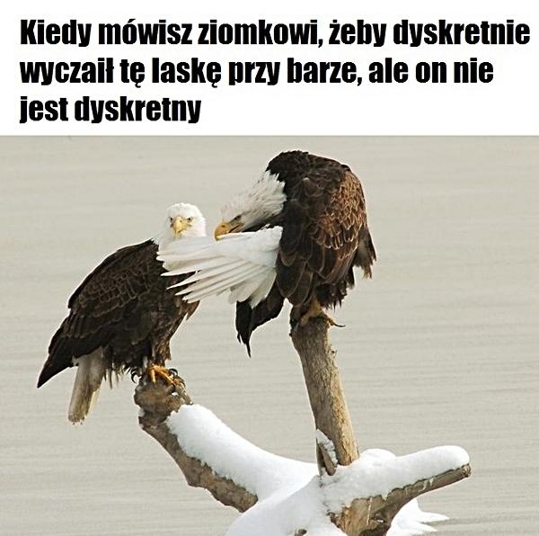 Kiedy mówisz ziomkowi, żeby dyskretnie wyczaił tę laskę