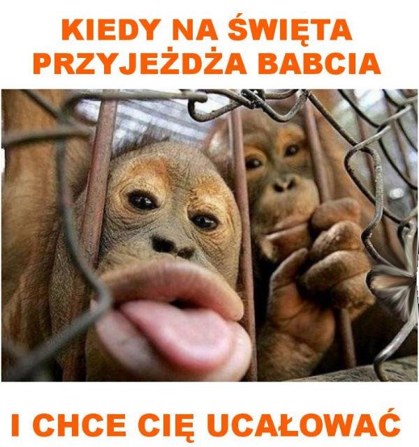 Kiedy na święta przyjeżdża babcia i chce cię ucałować