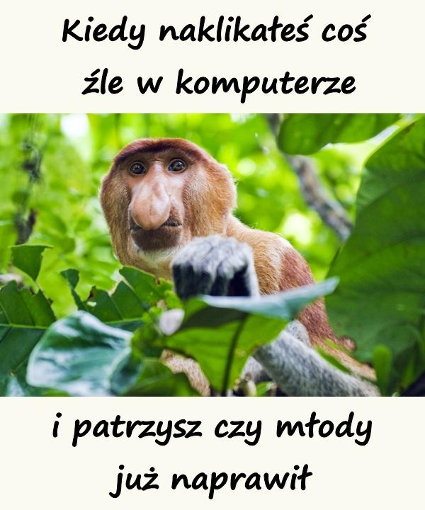 Kiedy naklikałeś coś źle w komputerze i patrzysz czy młody