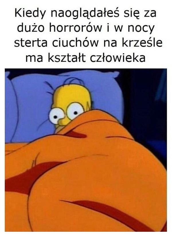 Kiedy naoglądałeś się za dużo horrorów i w nocy sterta