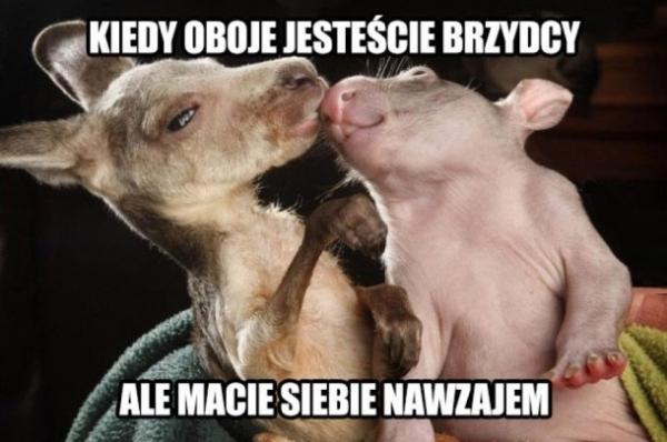 Kiedy obje jesteście brzydcy, ale macie siebie nawzajem