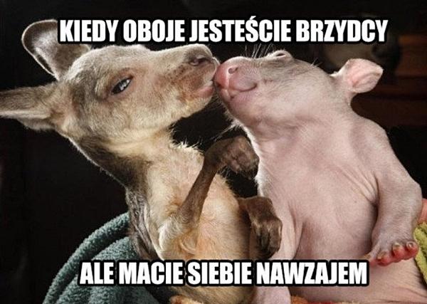 Kiedy oboje jesteście brzydcy, ale macie siebie nawzajem