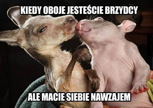 Kiedy oboje jesteście brzydcy, ale macie siebie nawzajem