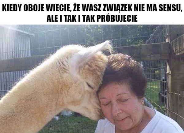 Kiedy oboje wiecie, że wasz związek nie ma sensu, ale i tak