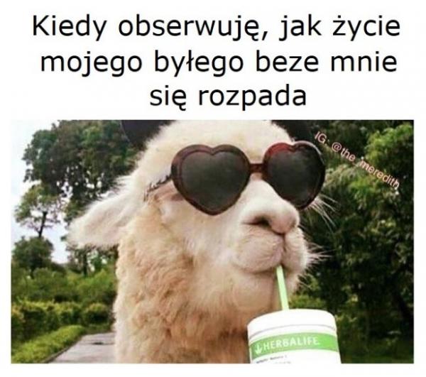 Kiedy obserwuję, jak życie mojego byłego beze mnie się