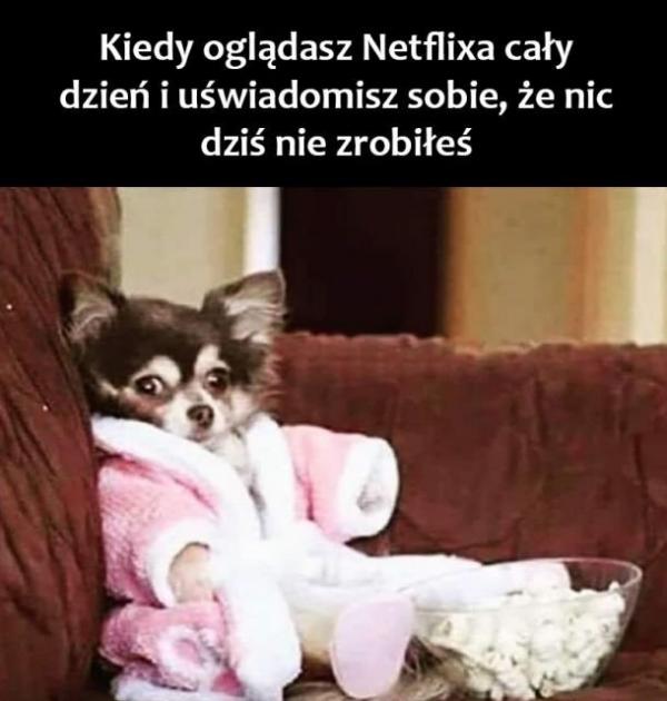 Kiedy oglądasz Netflixa cały dzień i uświadamiasz sobie, że