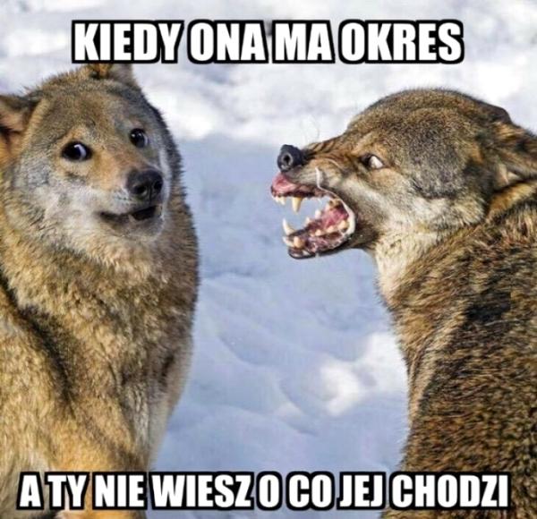 Kiedy ona ma okres, a ty nie wiesz o co jej chodzi