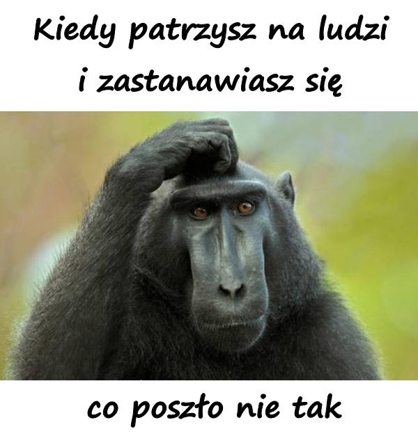 Kiedy patrzysz na ludzi i zastanawiasz się co poszło nie tak